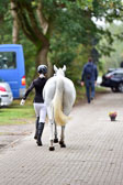 270920---Vormustern_388.jpg