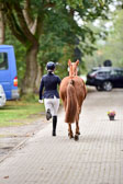 270920---Vormustern_399.jpg