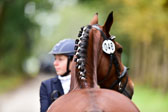 270920---Vormustern_410.jpg