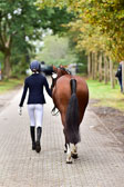 270920---Vormustern_412.jpg