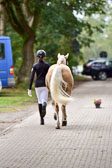 270920---Vormustern_418.jpg