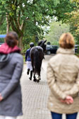 270920---Vormustern_430.jpg