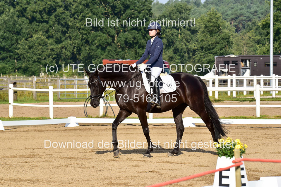 030920---Dressurpferde-A_020.jpg