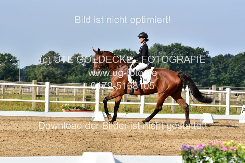 030920---Dressurpferde-A_076.jpg