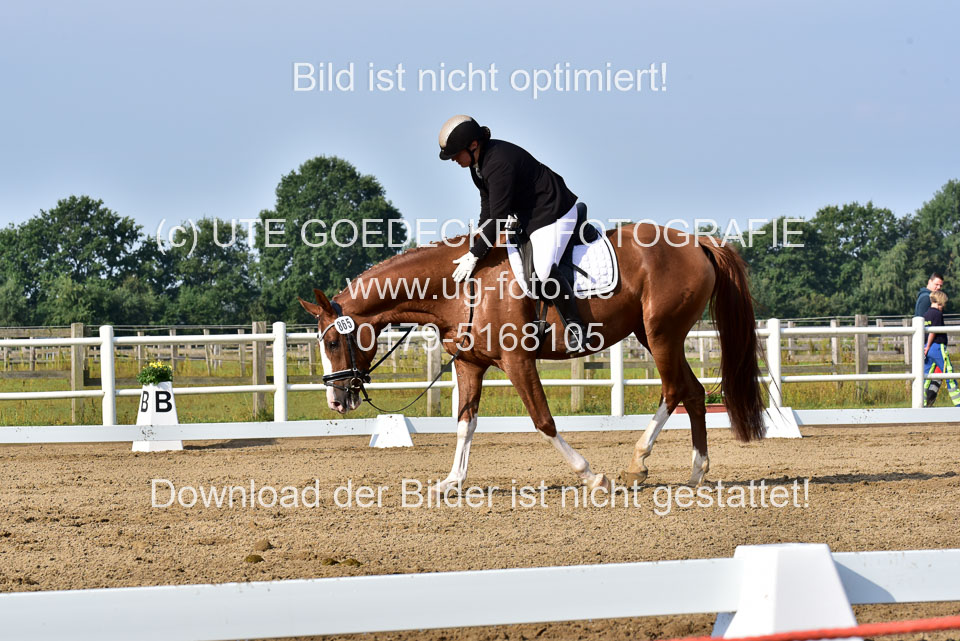 030920---Dressurpferde-A_084.jpg