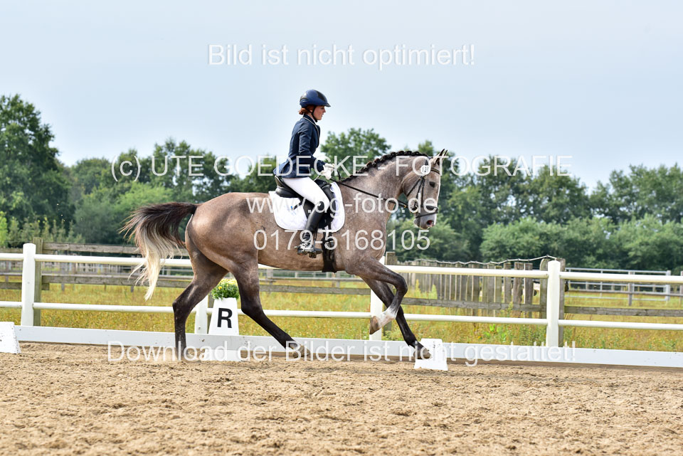 030920---Dressurpferde-A_302.jpg