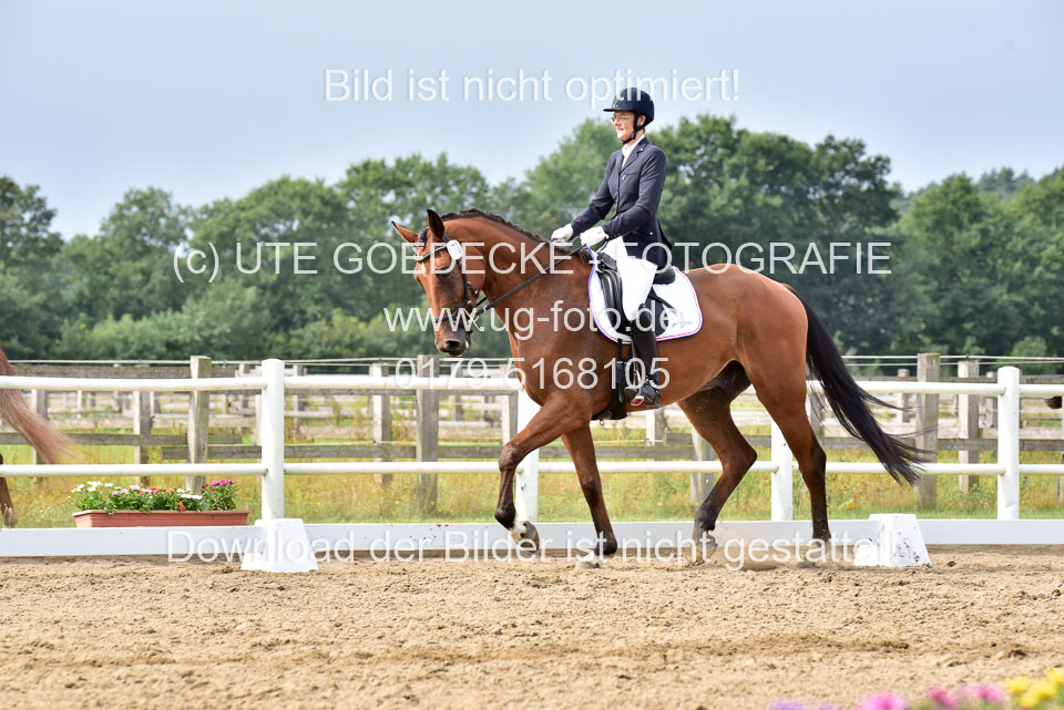 030920---Dressurpferde-A_307.jpg