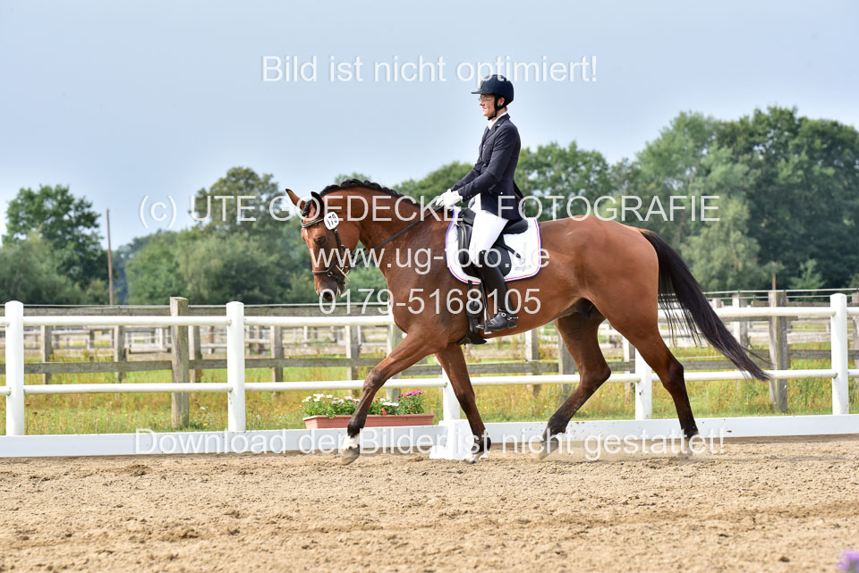 030920---Dressurpferde-A_308.jpg