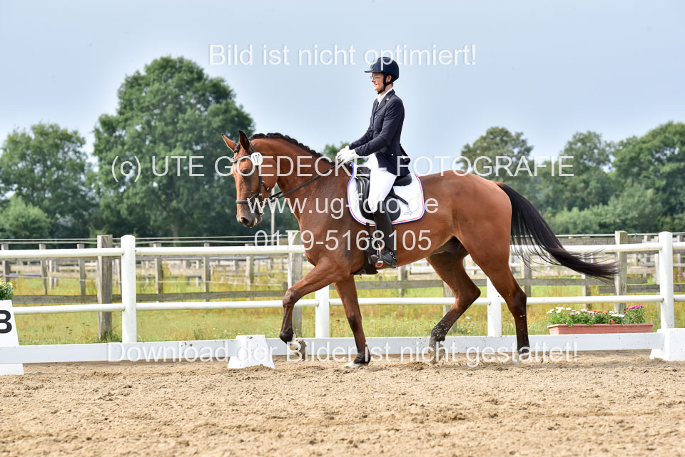 030920---Dressurpferde-A_309.jpg