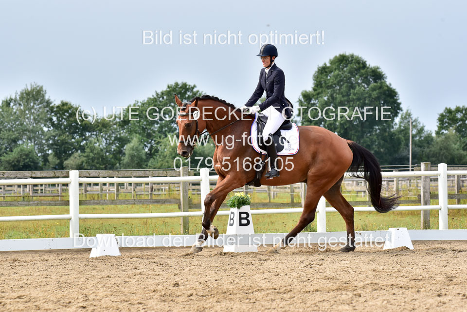 030920---Dressurpferde-A_311.jpg