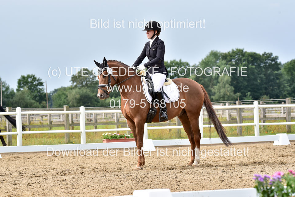 030920---Dressurpferde-A_315.jpg
