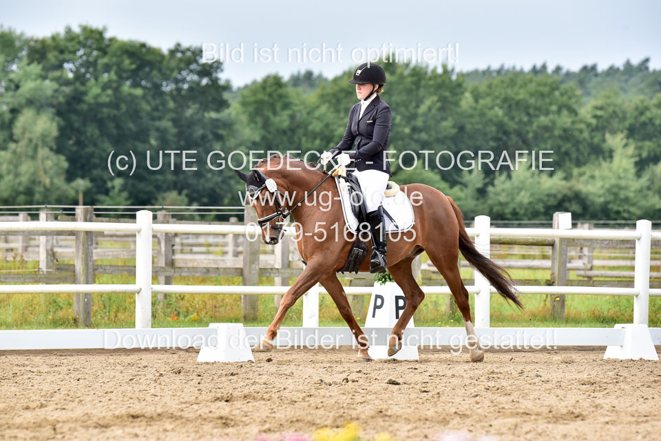 030920---Dressurpferde-A_317.jpg