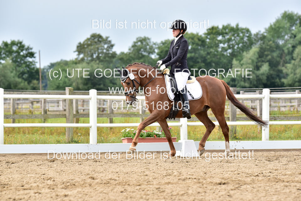 030920---Dressurpferde-A_319.jpg