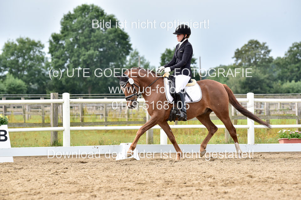 030920---Dressurpferde-A_320.jpg