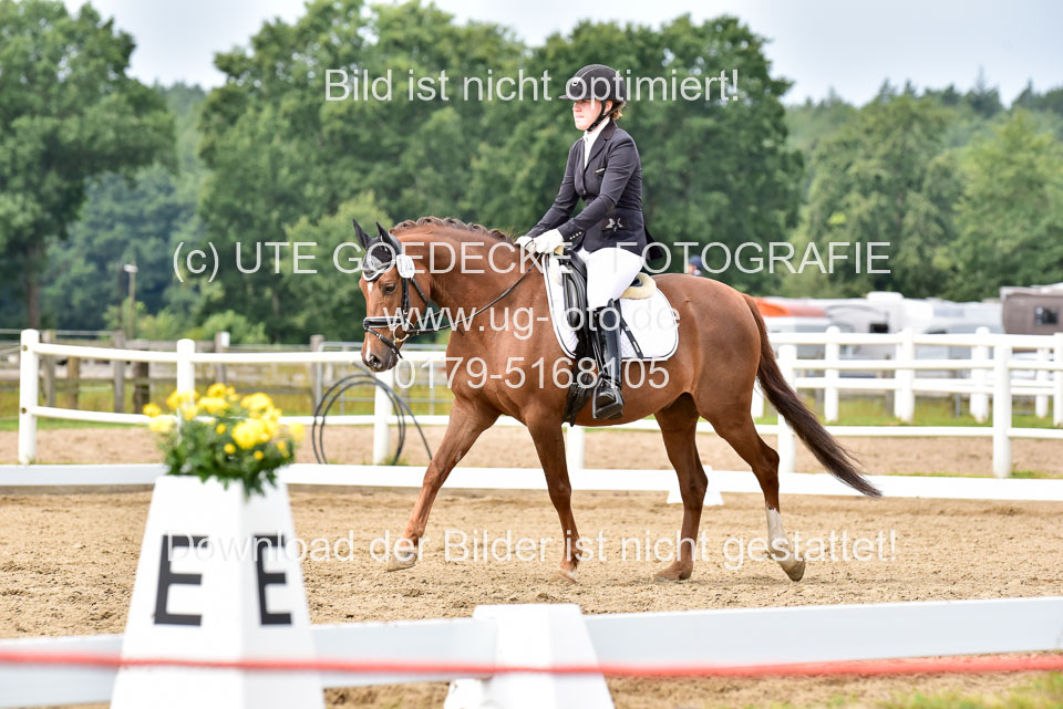 030920---Dressurpferde-A_324.jpg