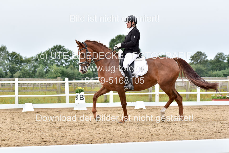 030920---Dressurpferde-A_332.jpg