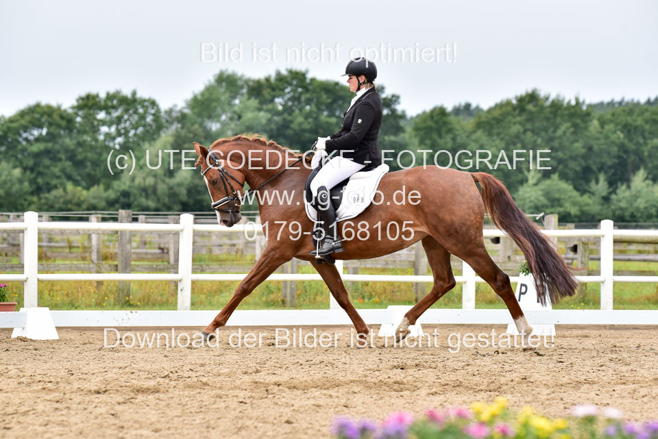 030920---Dressurpferde-A_336.jpg