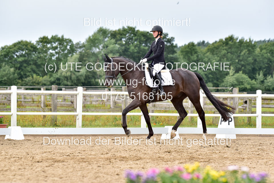 030920---Dressurpferde-A_346.jpg