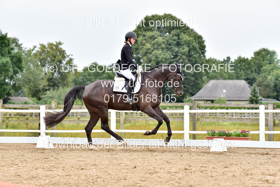 030920---Dressurpferde-A_350.jpg