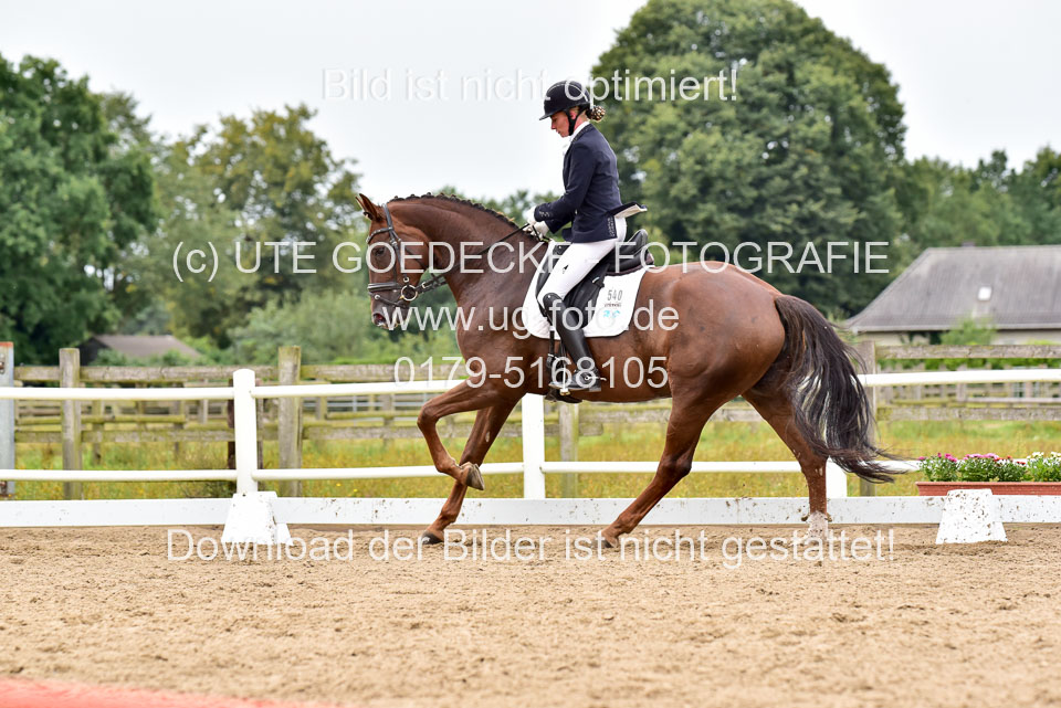 030920---Dressurpferde-A_354.jpg