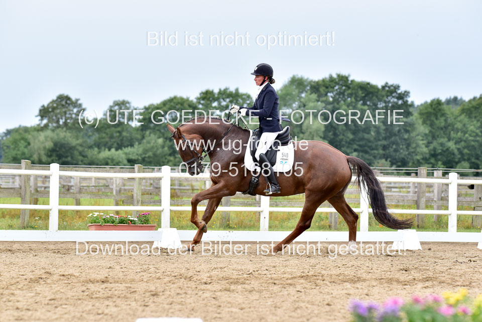 030920---Dressurpferde-A_362.jpg