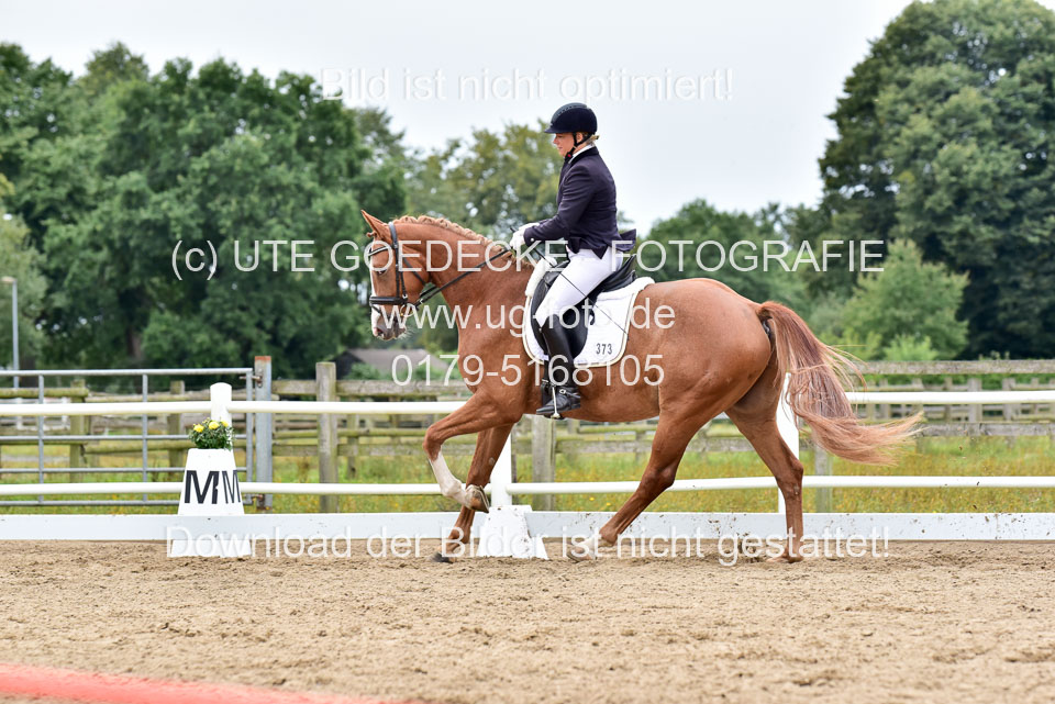 030920---Dressurpferde-A_368.jpg