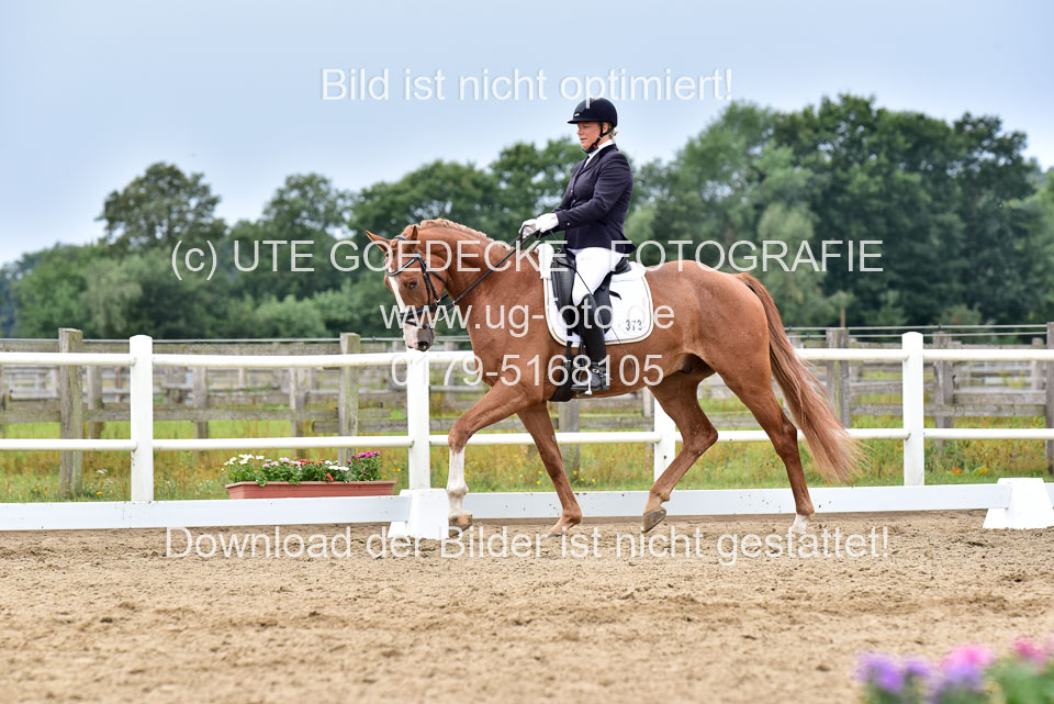 030920---Dressurpferde-A_371.jpg