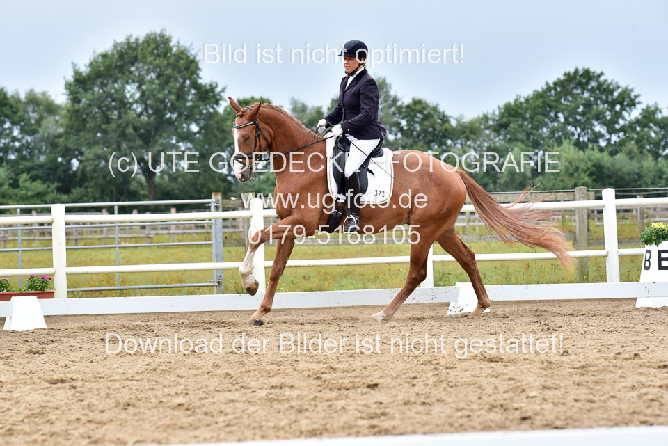 030920---Dressurpferde-A_374.jpg