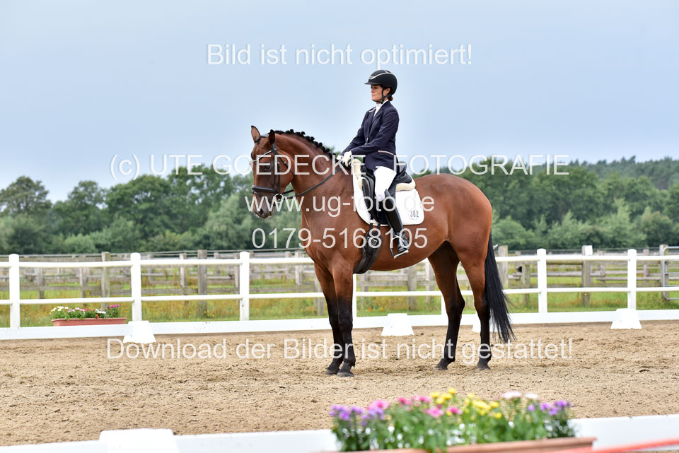 030920---Dressurpferde-A_379.jpg