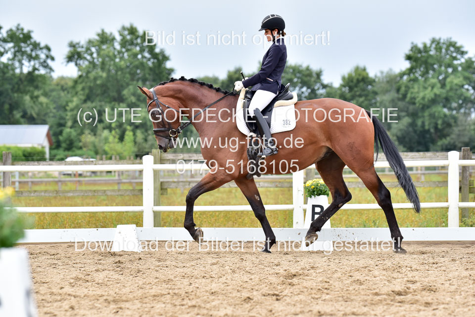 030920---Dressurpferde-A_381.jpg