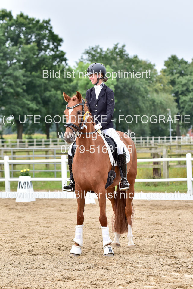 030920---Dressurpferde-A_391.jpg