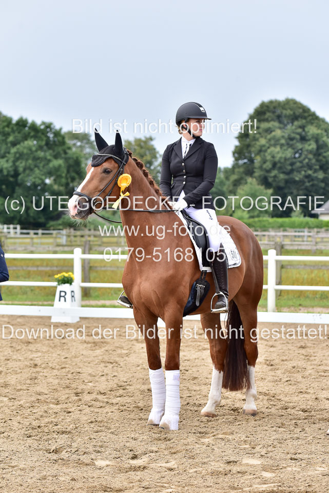030920---Dressurpferde-A_399.jpg