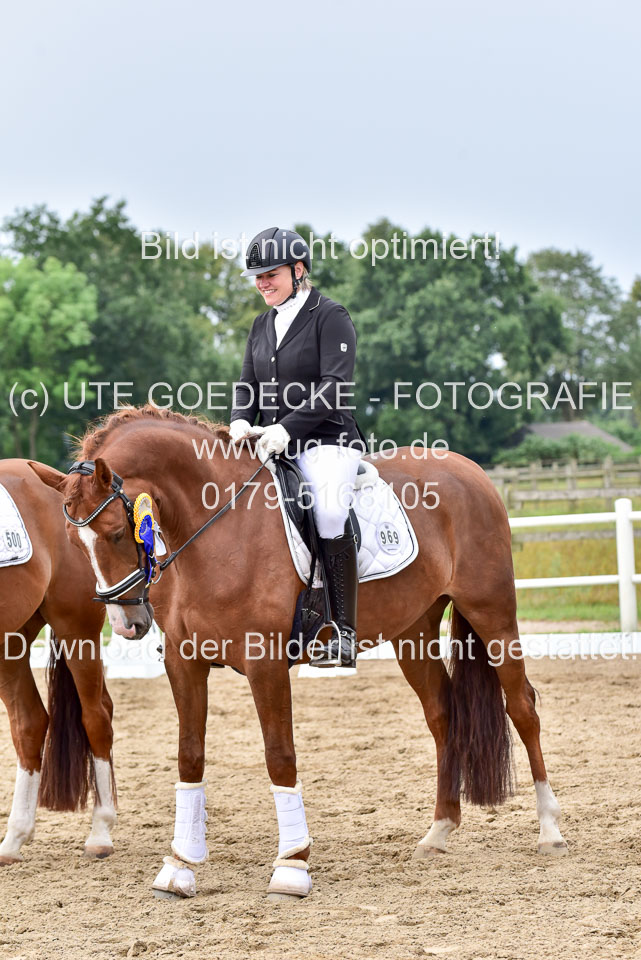 030920---Dressurpferde-A_401.jpg