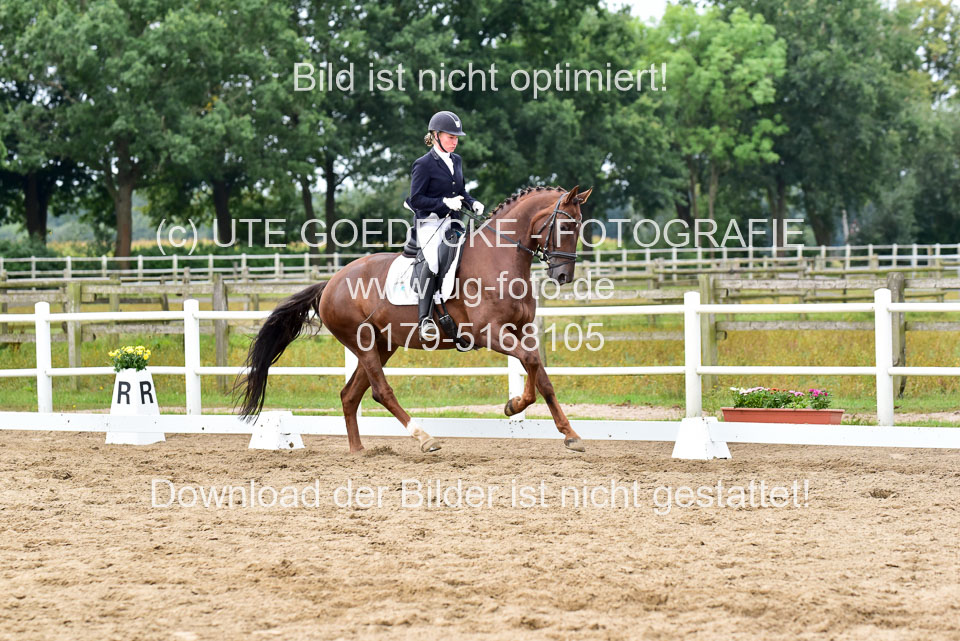 030920---Dressurpferde-A_402.jpg