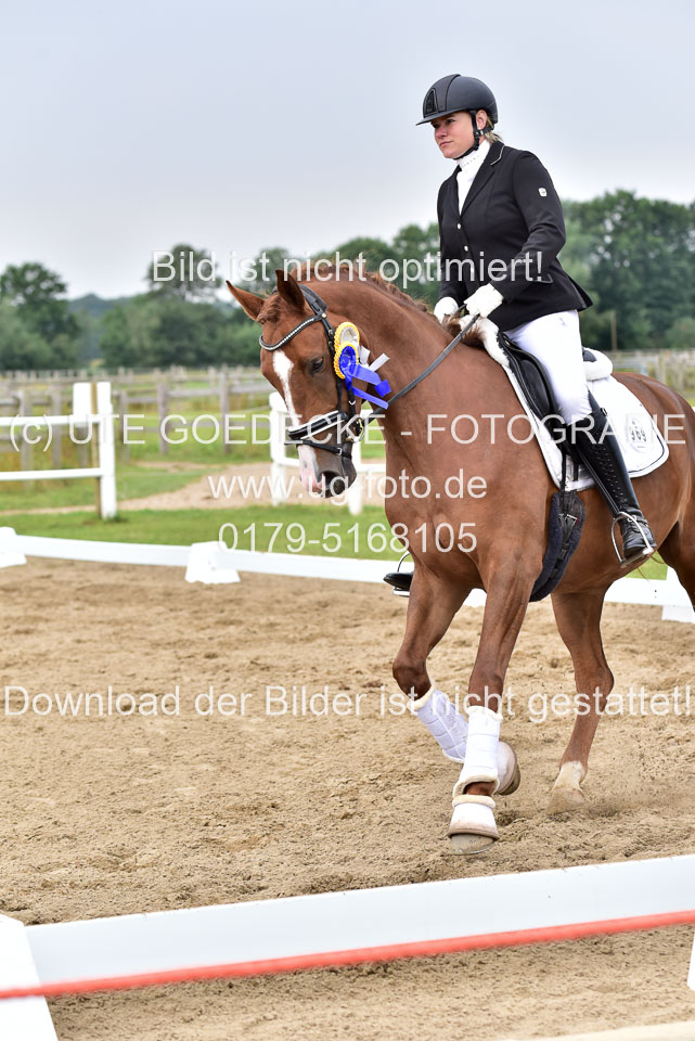 030920---Dressurpferde-A_406.jpg
