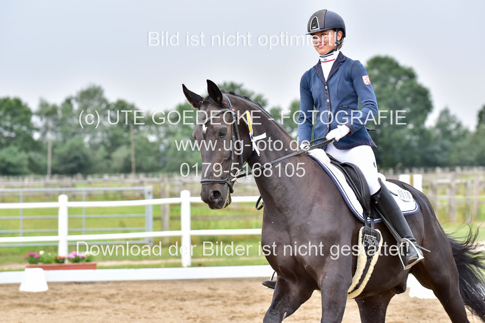030920---Dressurpferde-A_409.jpg