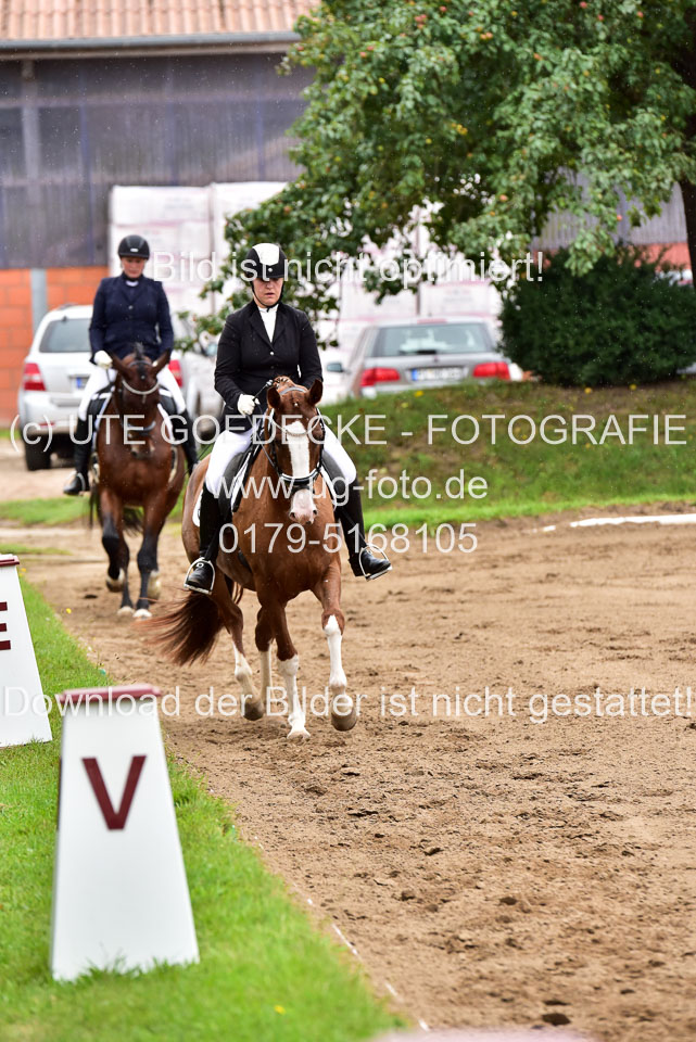 030920-Reitpferdeprfg_02.jpg
