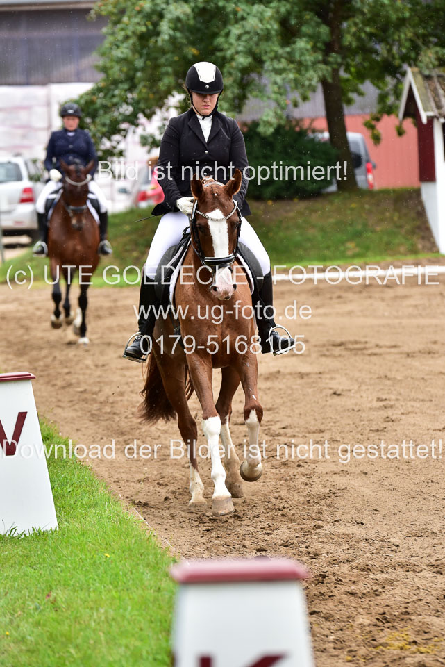 030920-Reitpferdeprfg_03.jpg