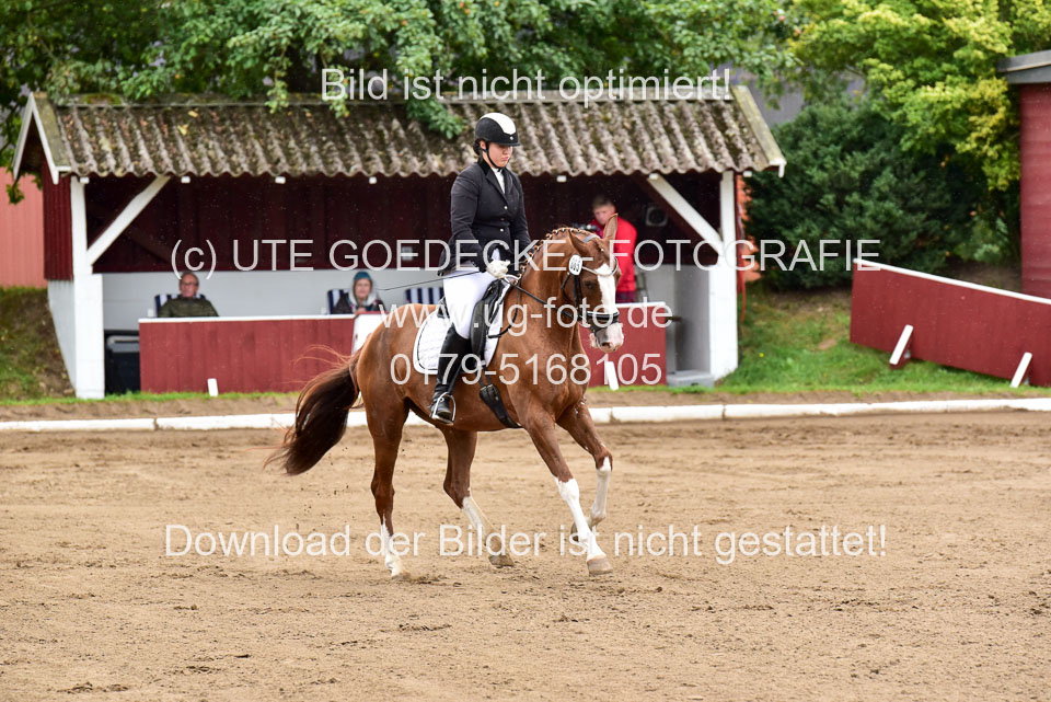 030920-Reitpferdeprfg_04.jpg