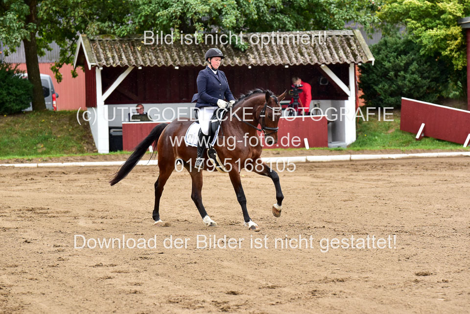 030920-Reitpferdeprfg_05.jpg