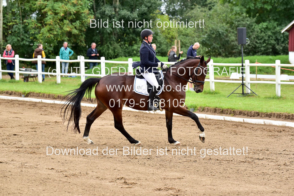 030920-Reitpferdeprfg_08.jpg