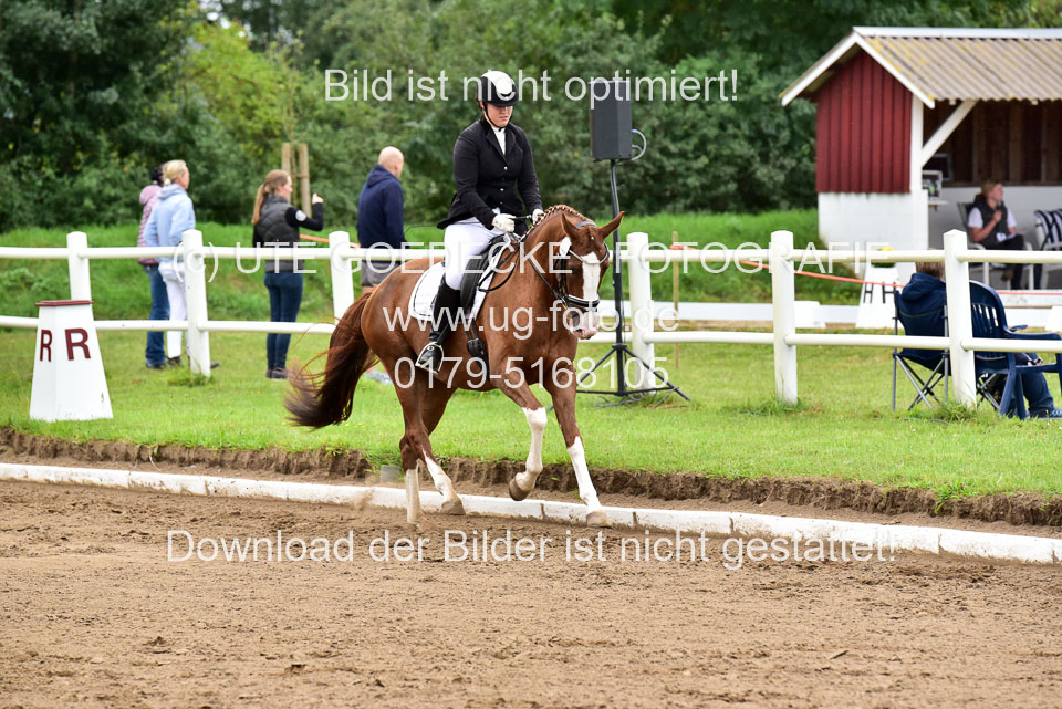 030920-Reitpferdeprfg_11.jpg