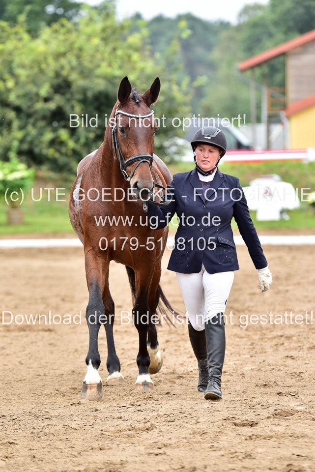 030920-Reitpferdeprfg_13.jpg