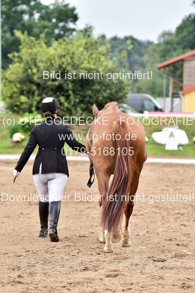 030920-Reitpferdeprfg_15.jpg