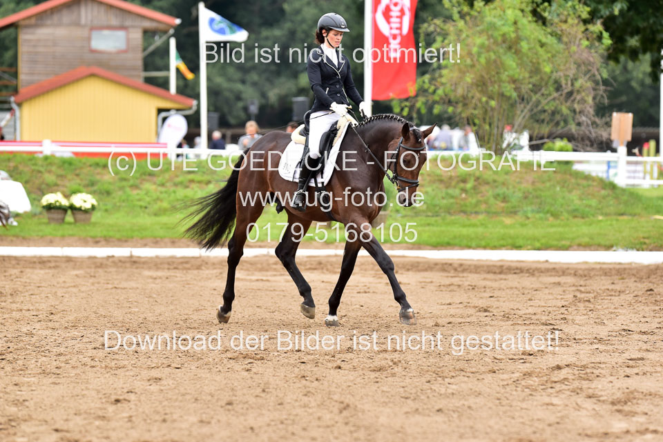 030920-Reitpferdeprfg_18.jpg
