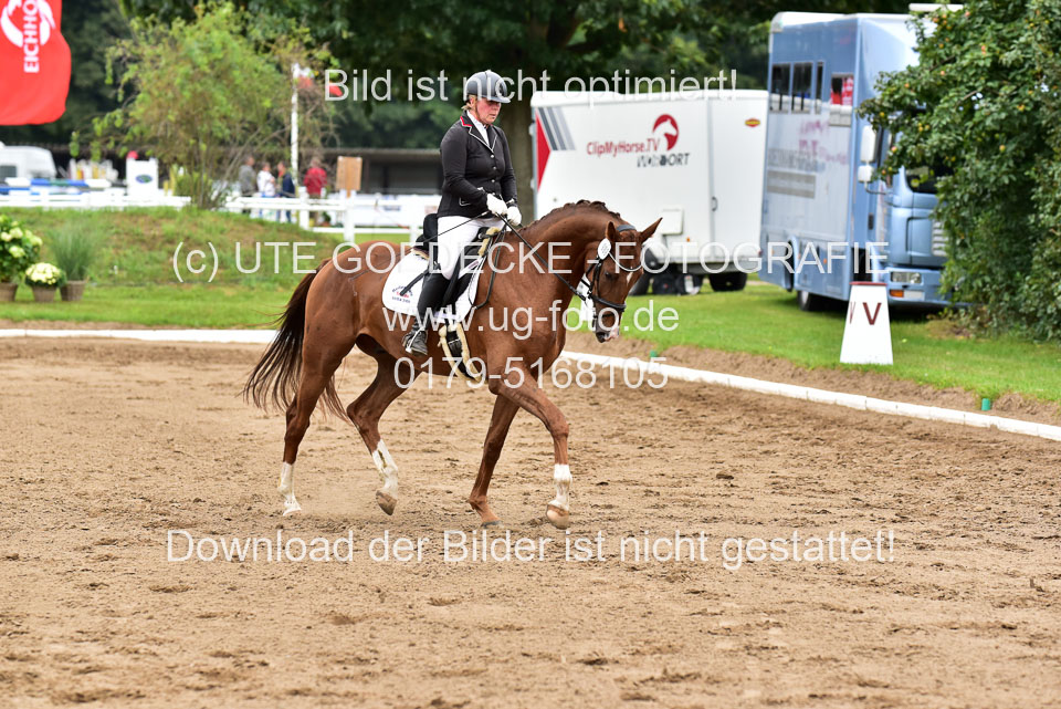030920-Reitpferdeprfg_26.jpg