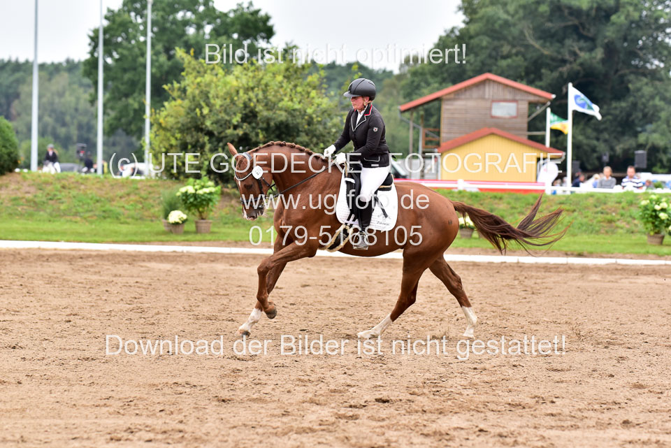 030920-Reitpferdeprfg_27.jpg