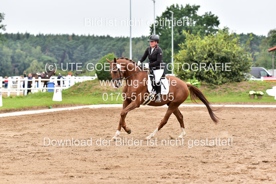 030920-Reitpferdeprfg_28.jpg