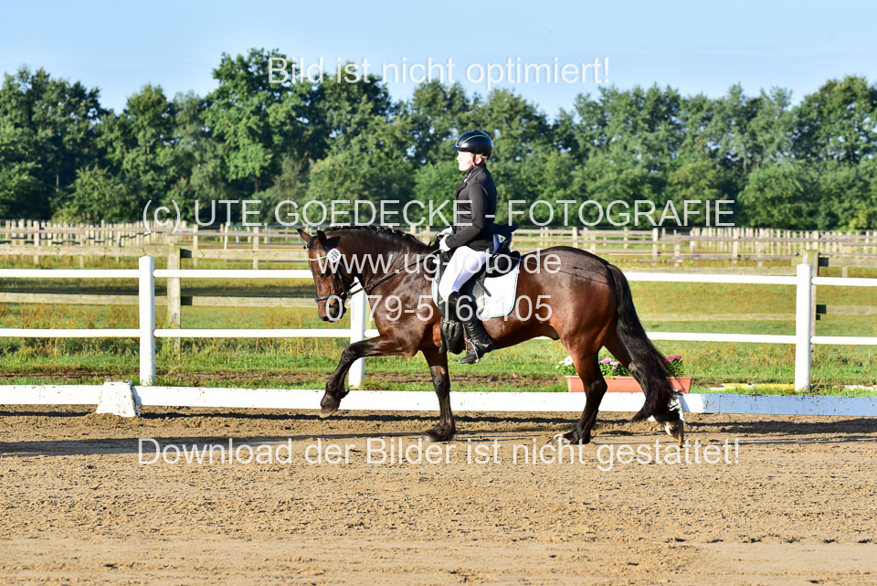 060920-Dressur-WB-KL-E_003.jpg