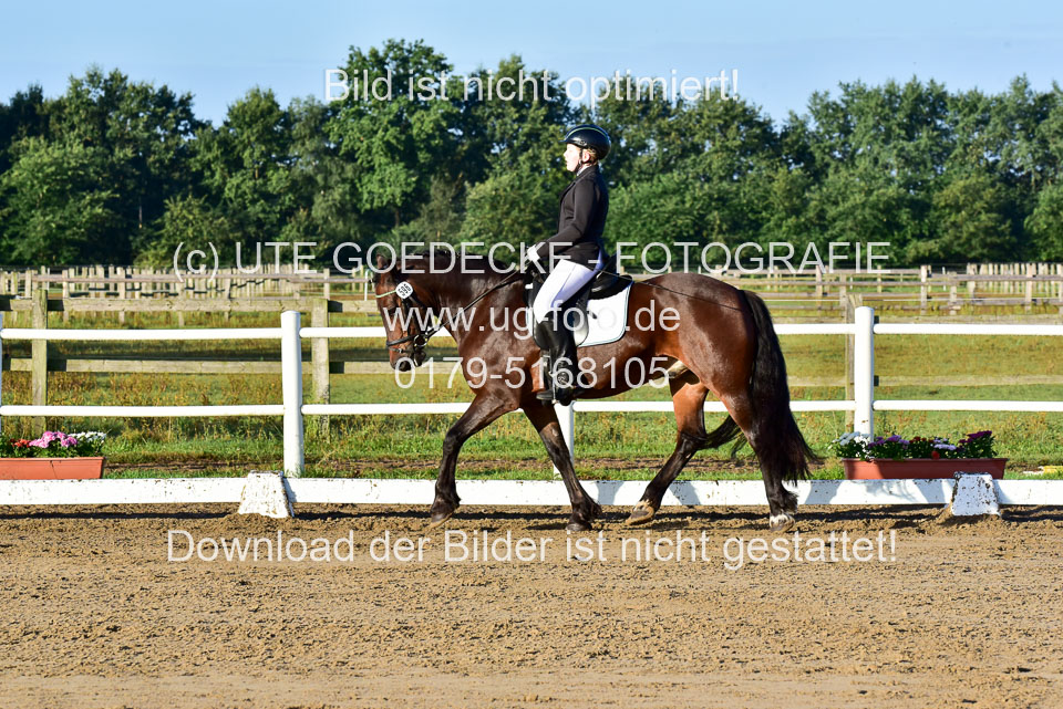 060920-Dressur-WB-KL-E_007.jpg